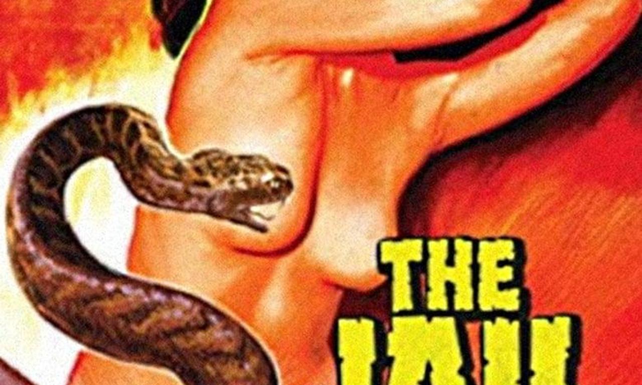 header image for The Jail: The Women's Hell