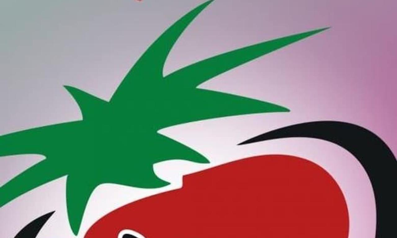 header image for Morangos com Açúcar