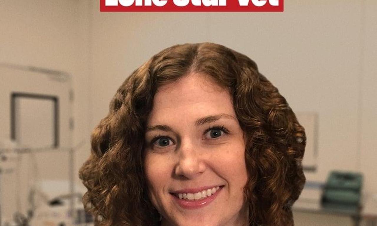 header image for Dr. T, Lone Star Vet