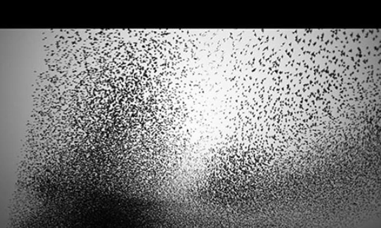 header image for The Art of Flying