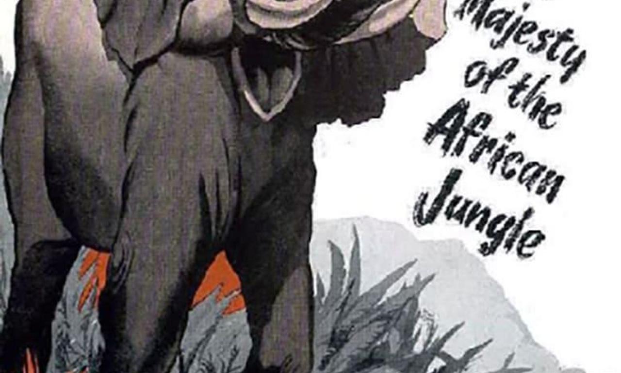 header image for Where No Vultures Fly