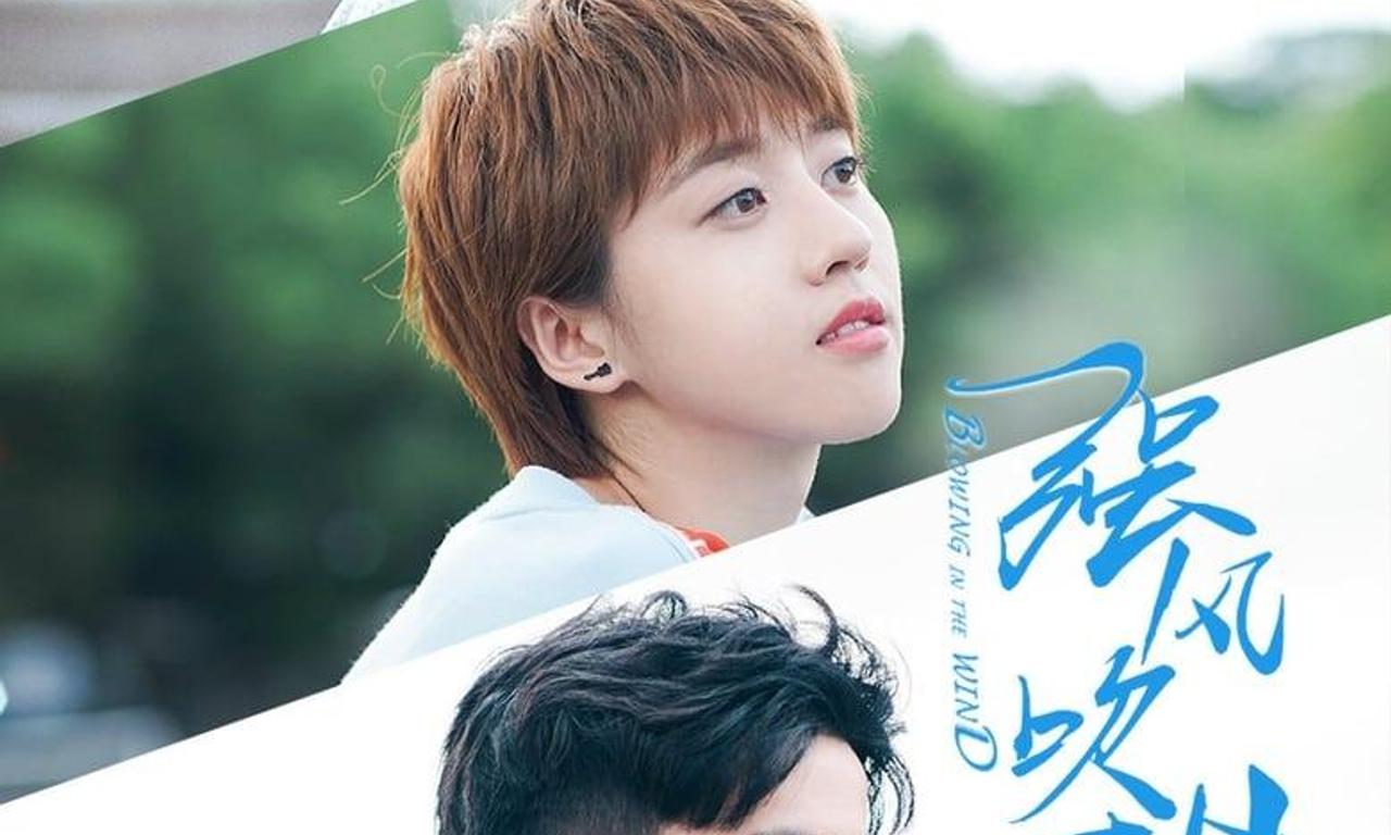 header image for Blowing in the Wind