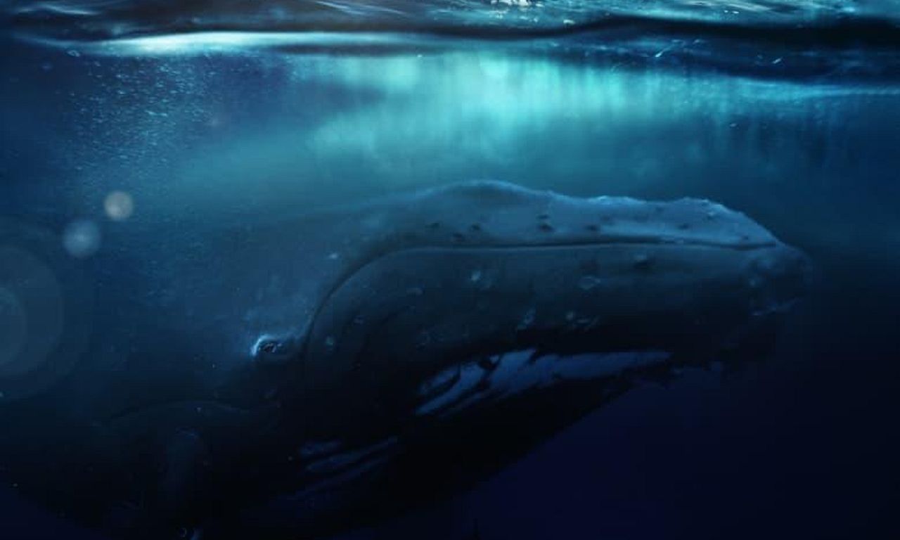 header image for Fathom