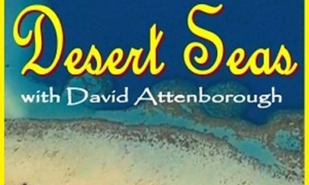 header image for Desert Seas