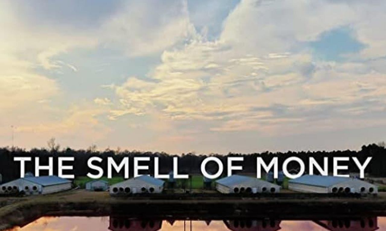 header image for The Smell of Money