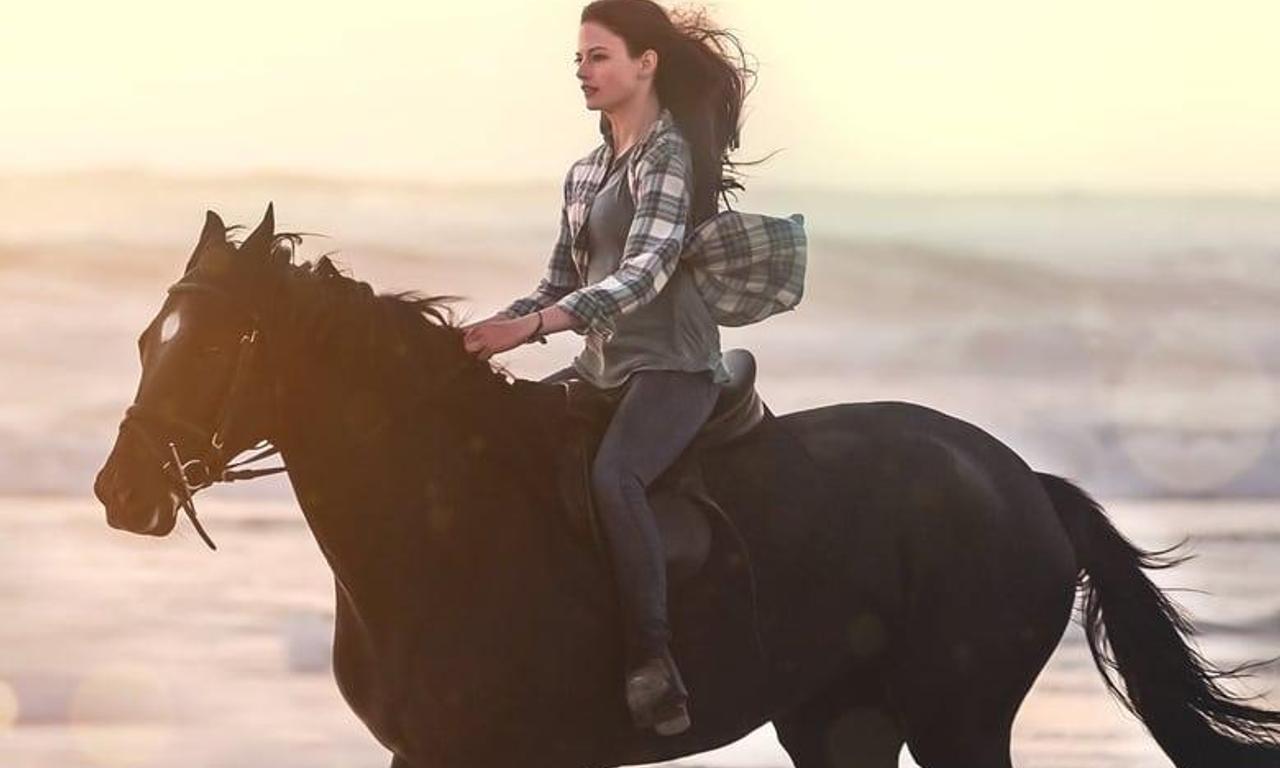 header image for Black Beauty