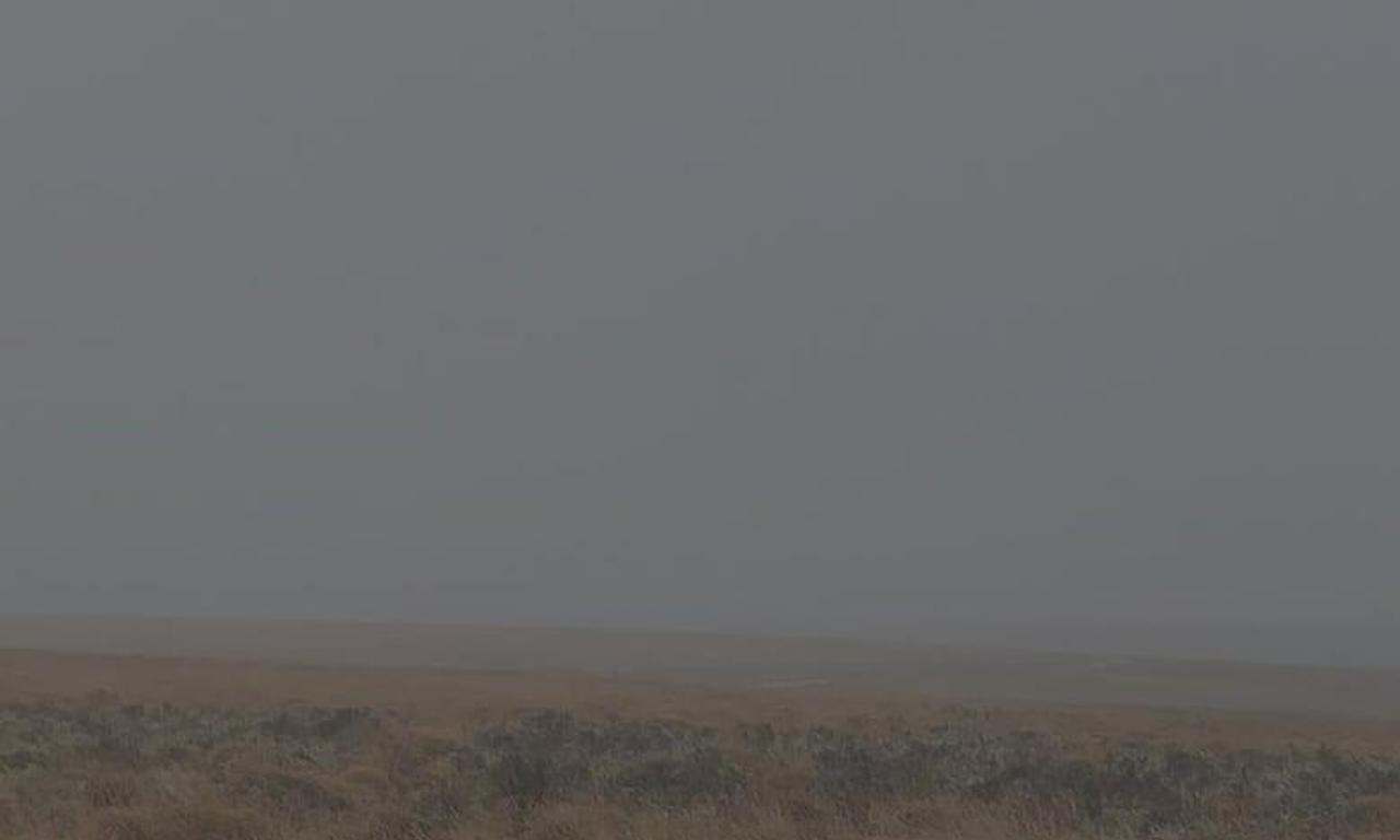 header image for Unmoored