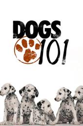 Dogs 101