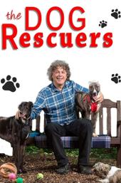 The Dog Rescuers with Alan Davies