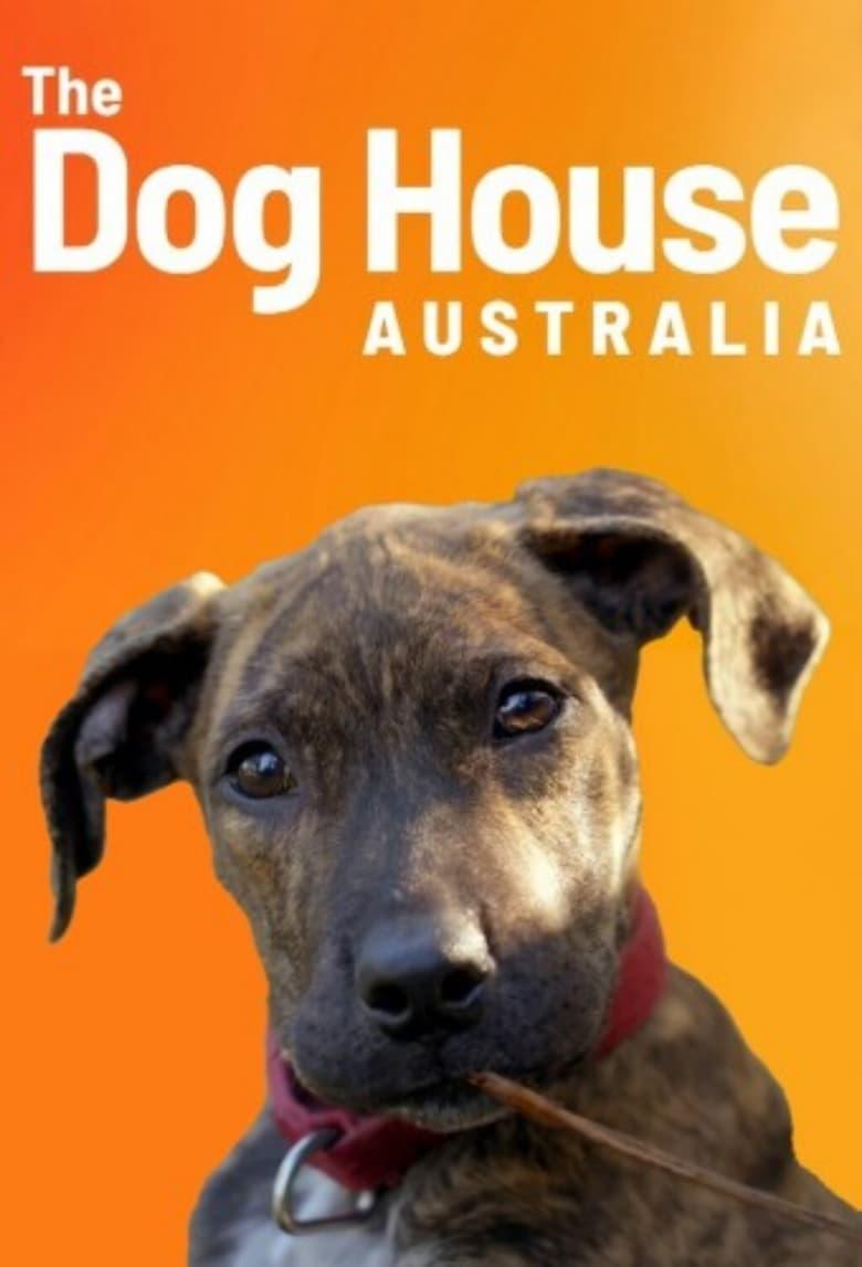 Watch dog 2025 house online