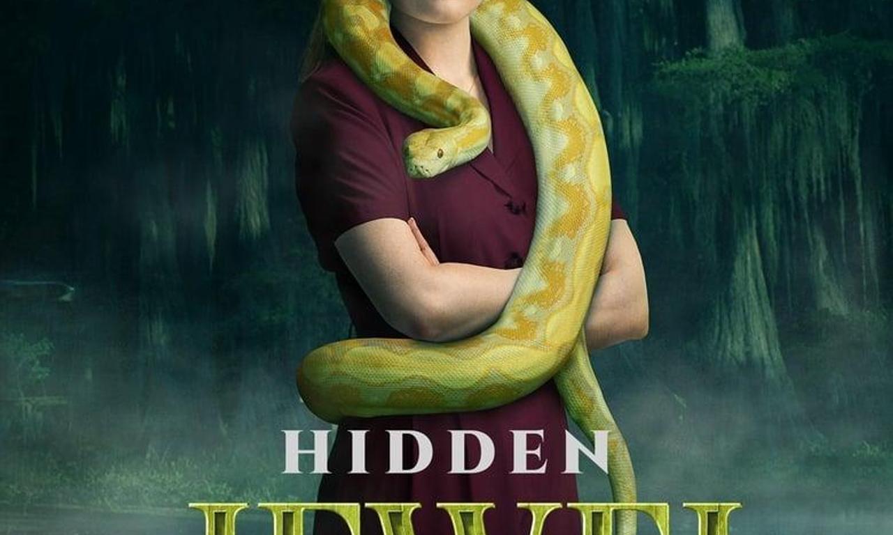 header image for V.C. Andrews' Hidden Jewel