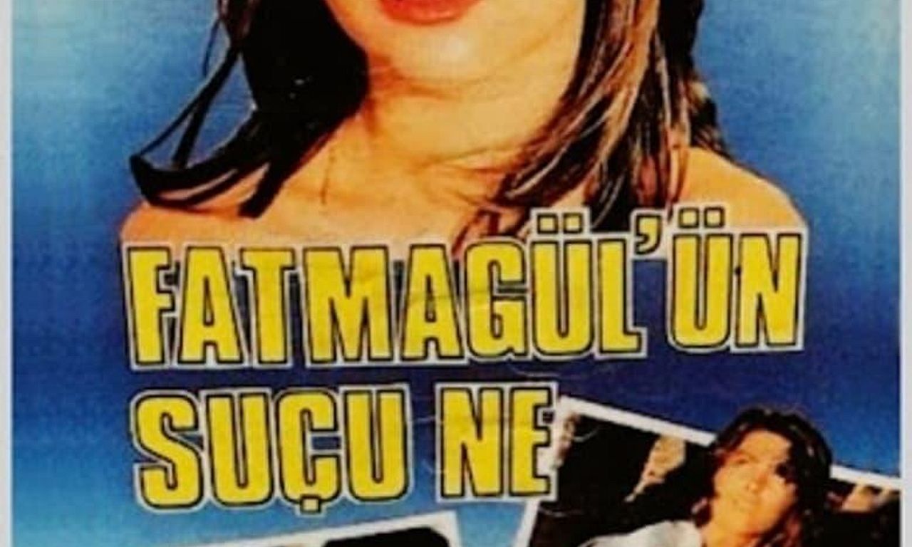 header image for What's Fatmagül's Fault