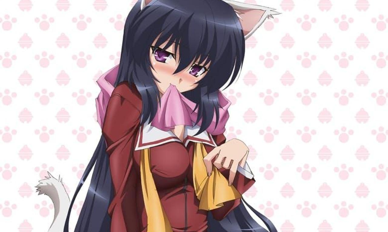 header image for Omamori Himari