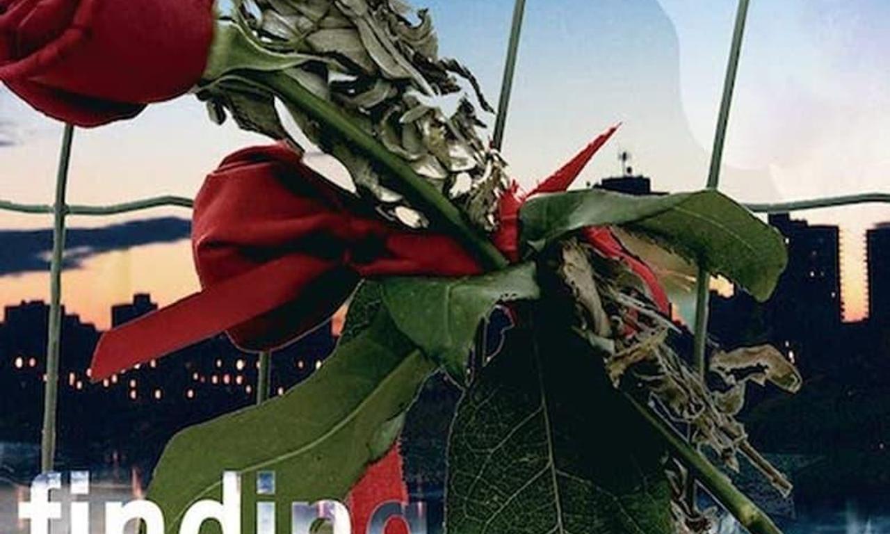 header image for Finding Dawn