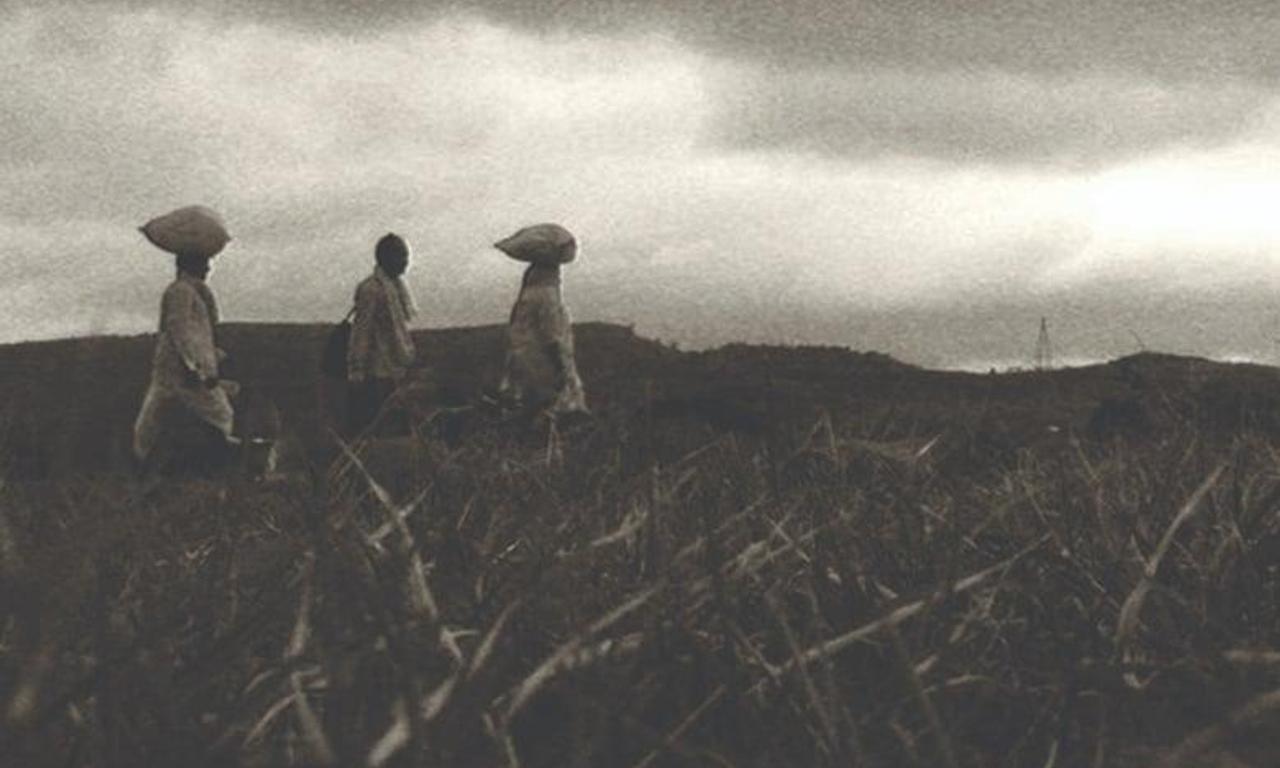 header image for At Home, Walking