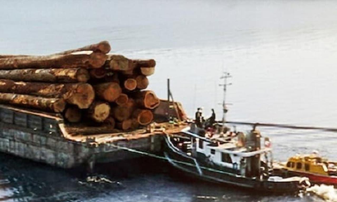 header image for Big Timber
