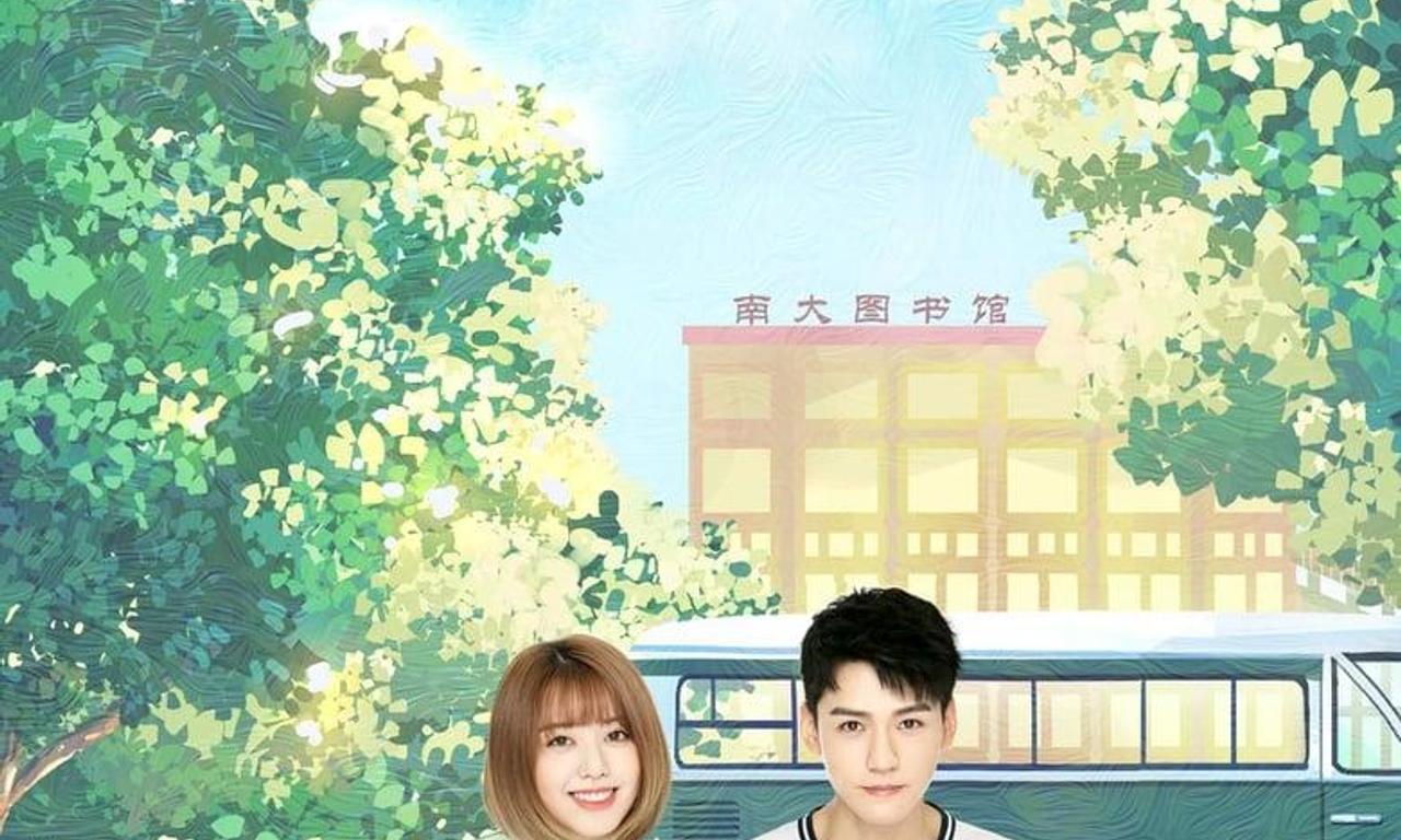 header image for The Love Equations