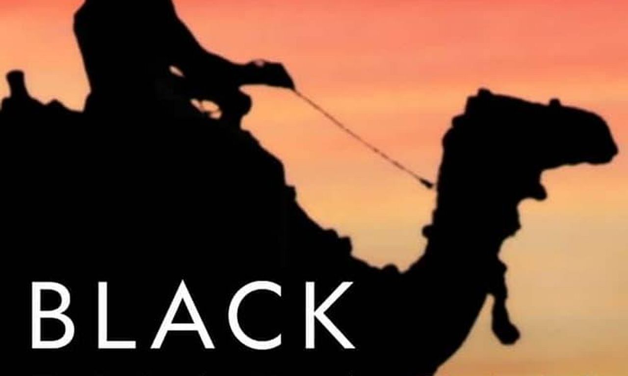 header image for Black Pharaohs: Sunken Treasures