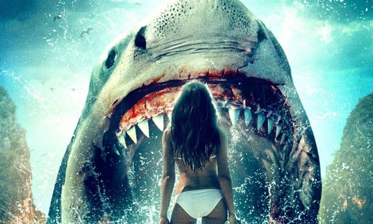 header image for Shark Huntress
