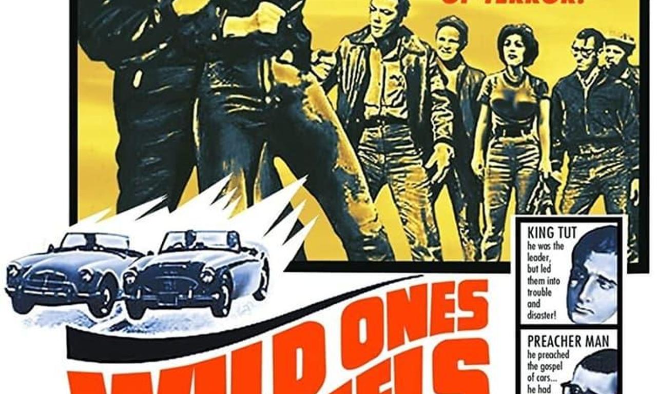 header image for Wild Ones on Wheels