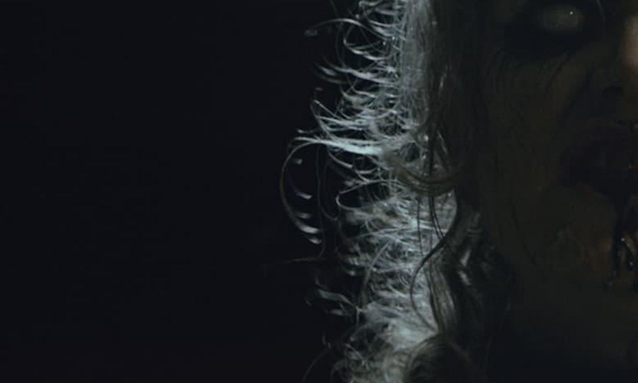 header image for The Feast