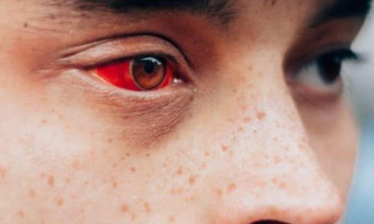 header image for The Damned Don't Cry