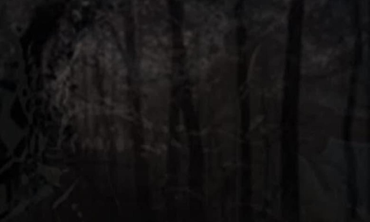 header image for Into the Darkness