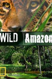 Wild Amazon