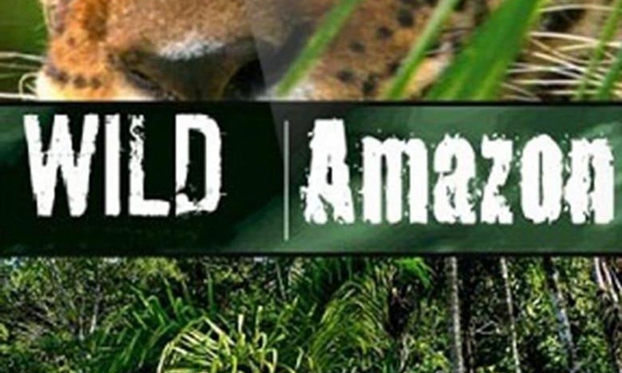 header image for Wild Amazon