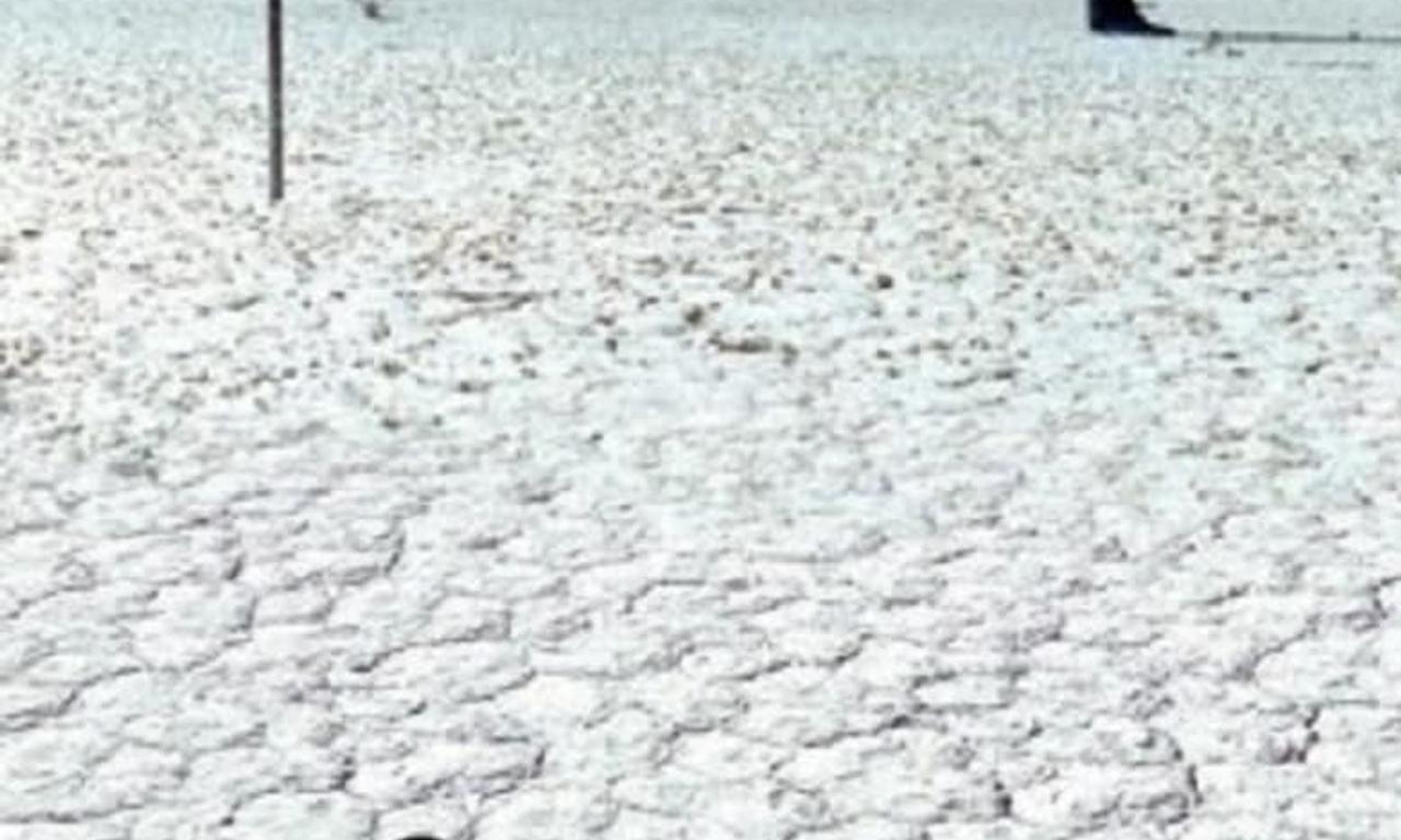 40° a la sombra Where to Watch and Stream Online Entertainment.ie