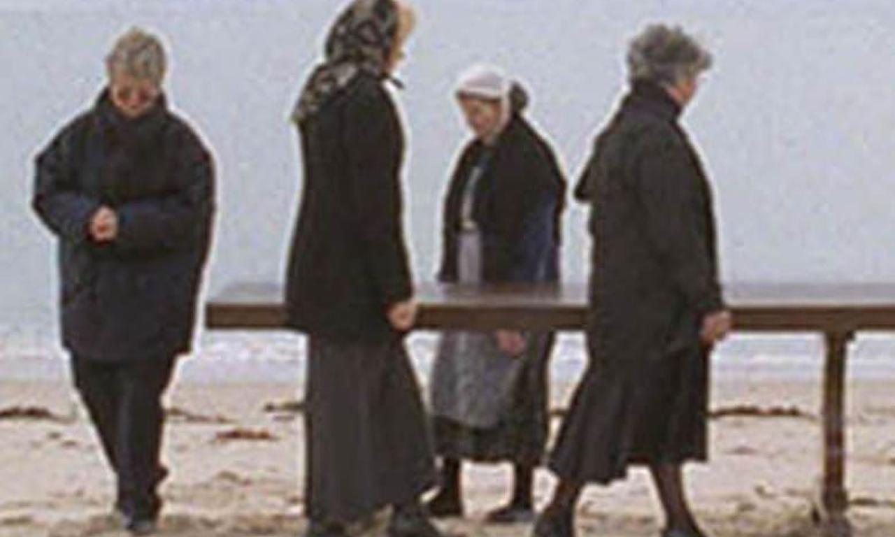 header image for Quelques veuves de Noirmoutier