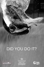 Did You Do It?