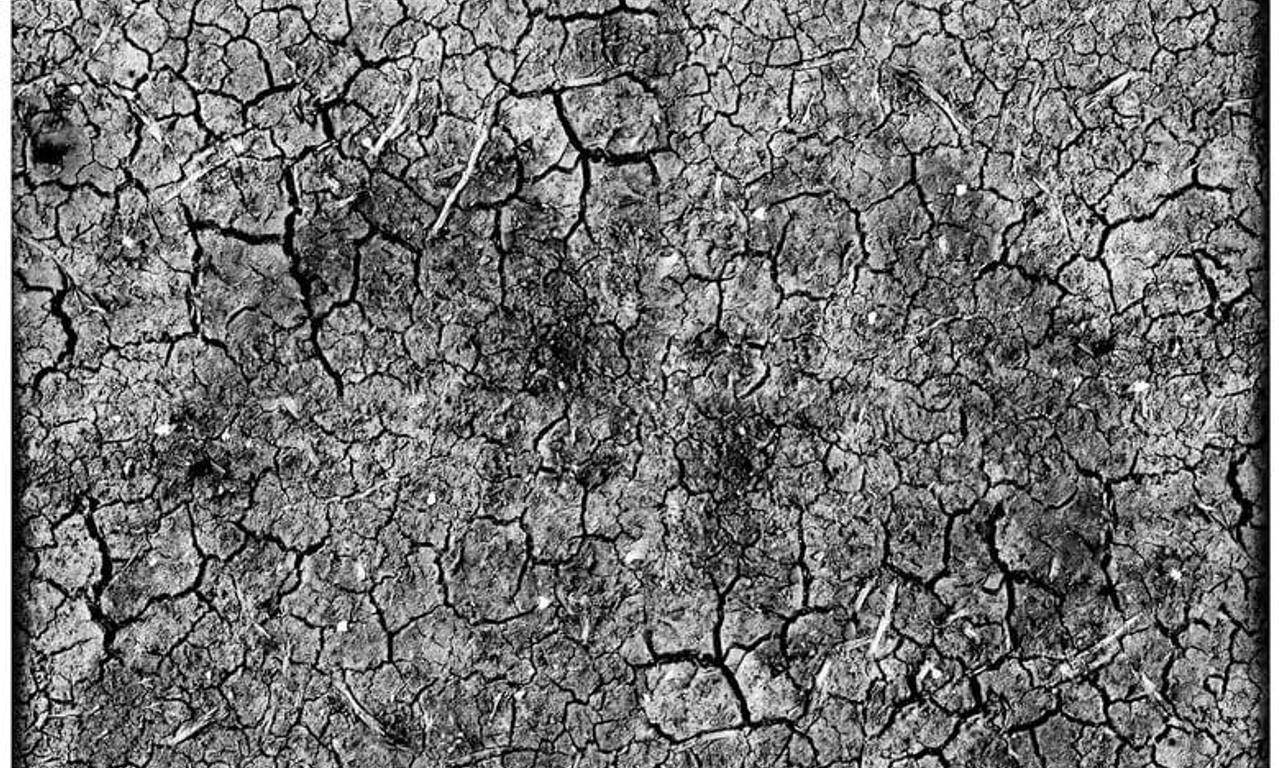 header image for Silence in the Dust