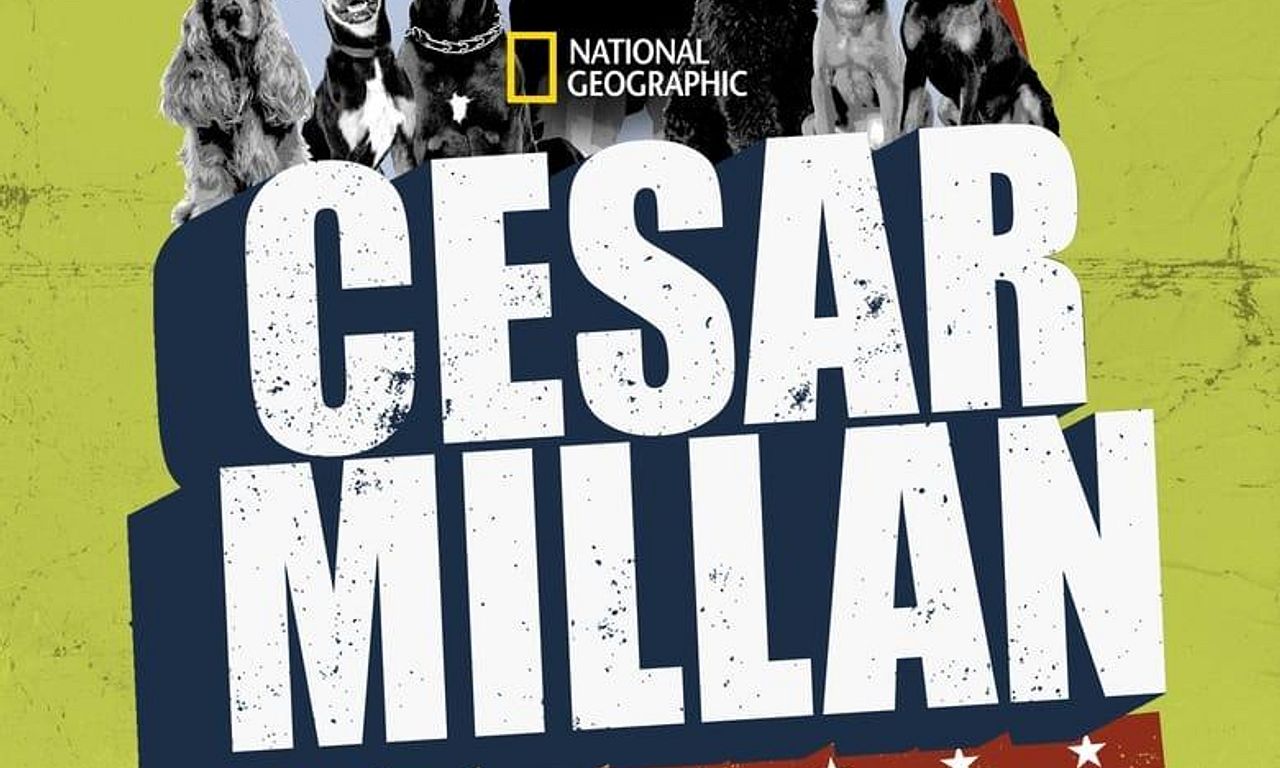 header image for Cesar Millan: The Real Story