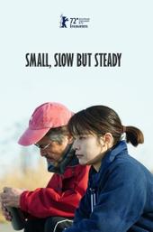 Small, Slow But Steady