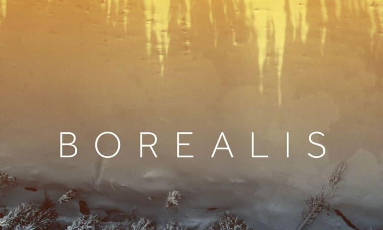 header image for Borealis