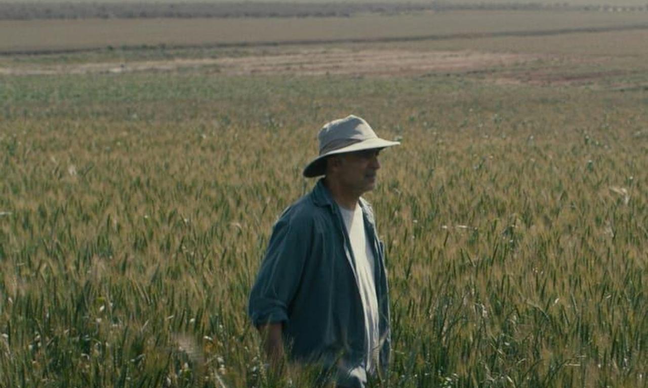 header image for The Boy