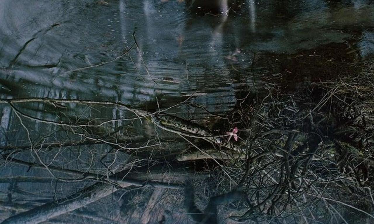 header image for Upurga