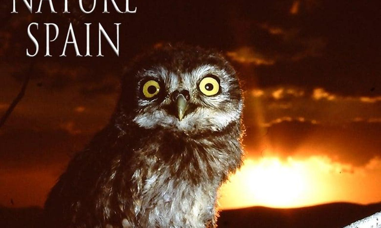 header image for The Secret World of Nature: Spain