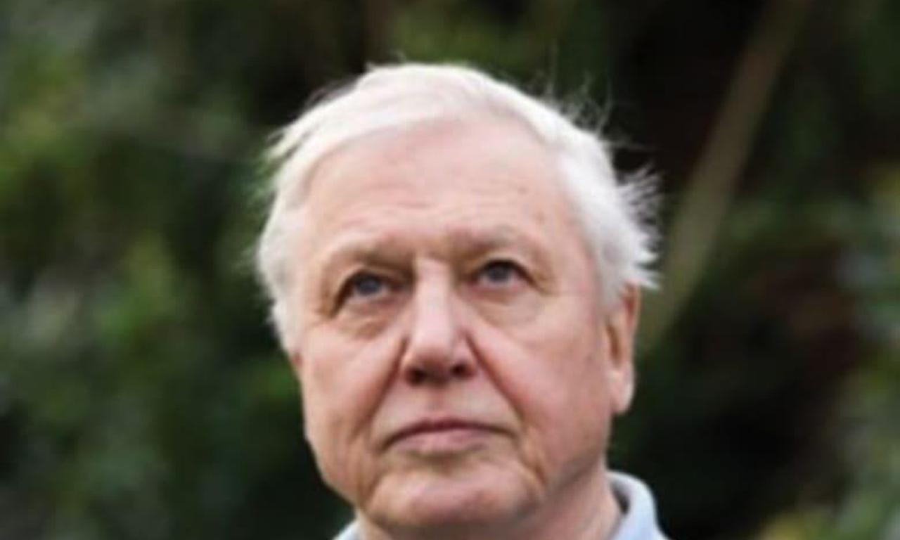 header image for Attenborough's Journey