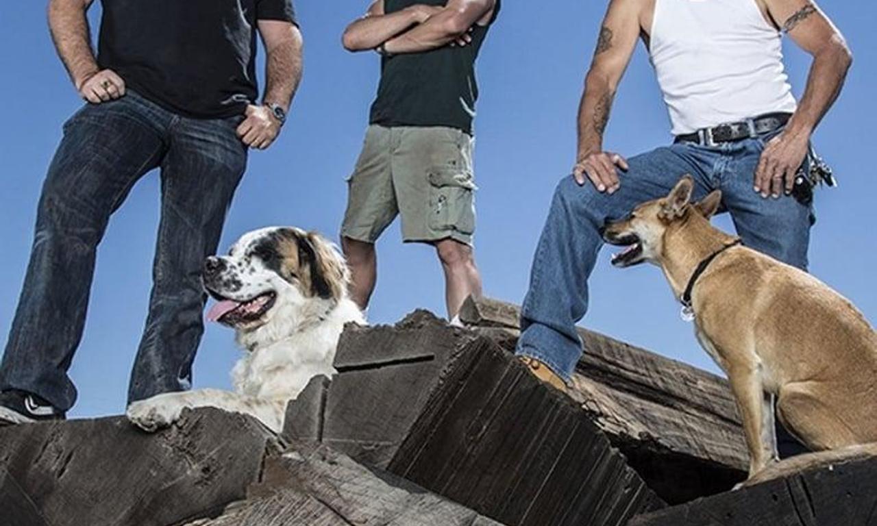 header image for Redwood Kings