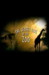 The Secret Life of the Zoo