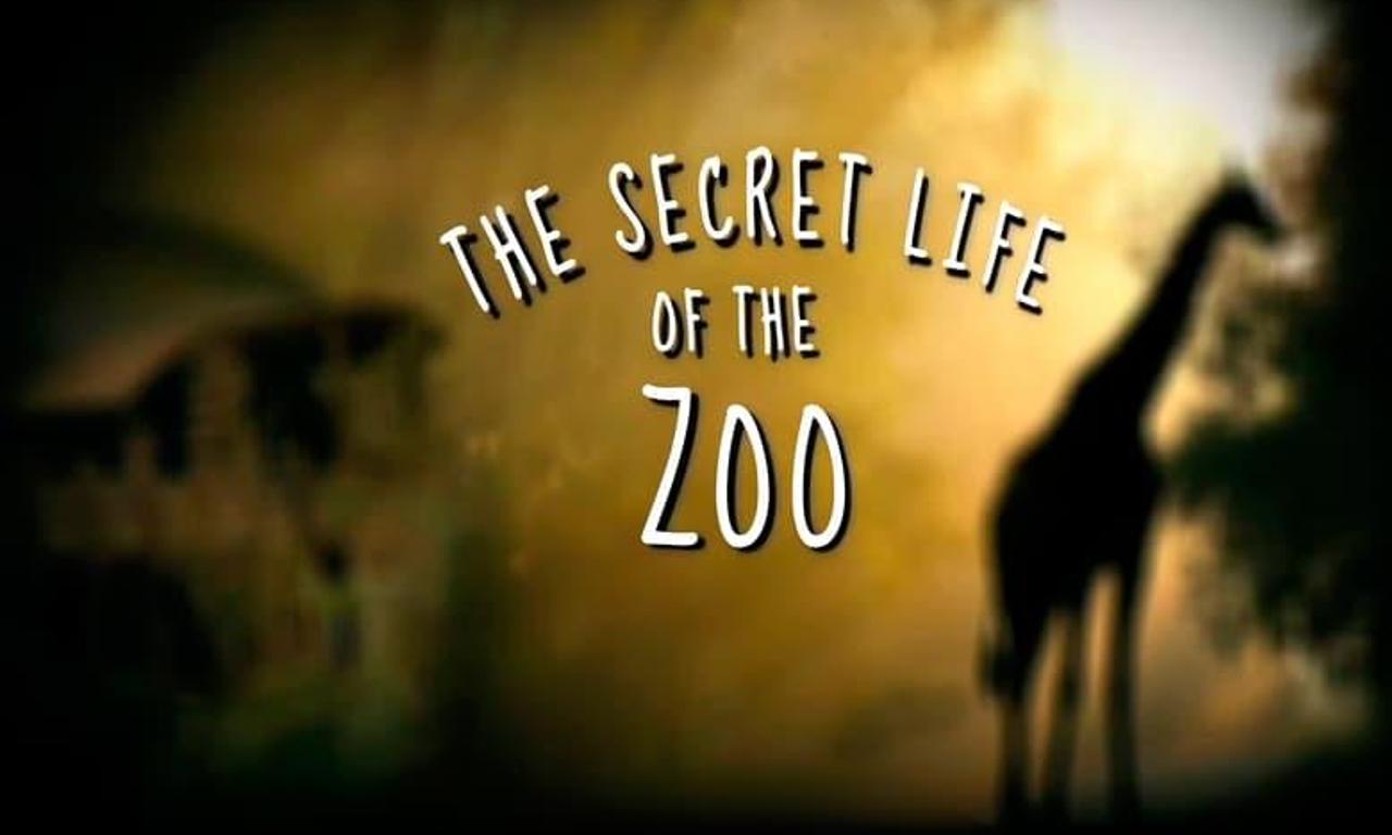 header image for The Secret Life of the Zoo