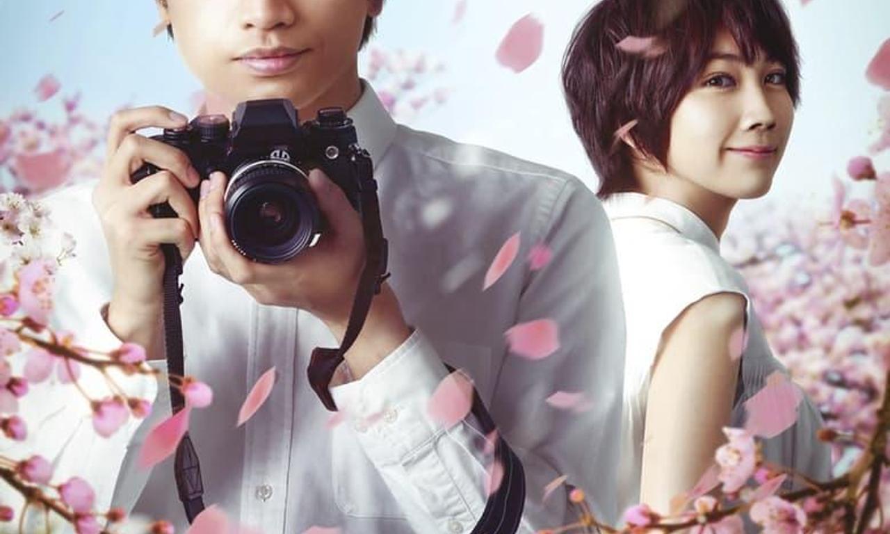 header image for Love Like the Falling Petals