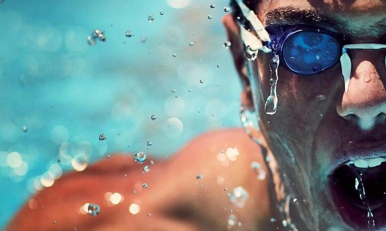 header image for Barracuda