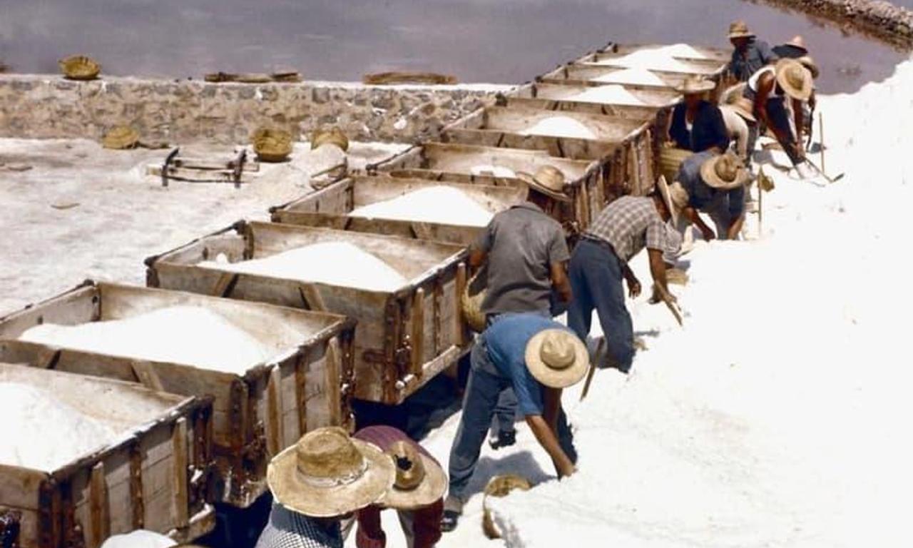 header image for Autour des salines