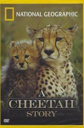 Cheetah Story