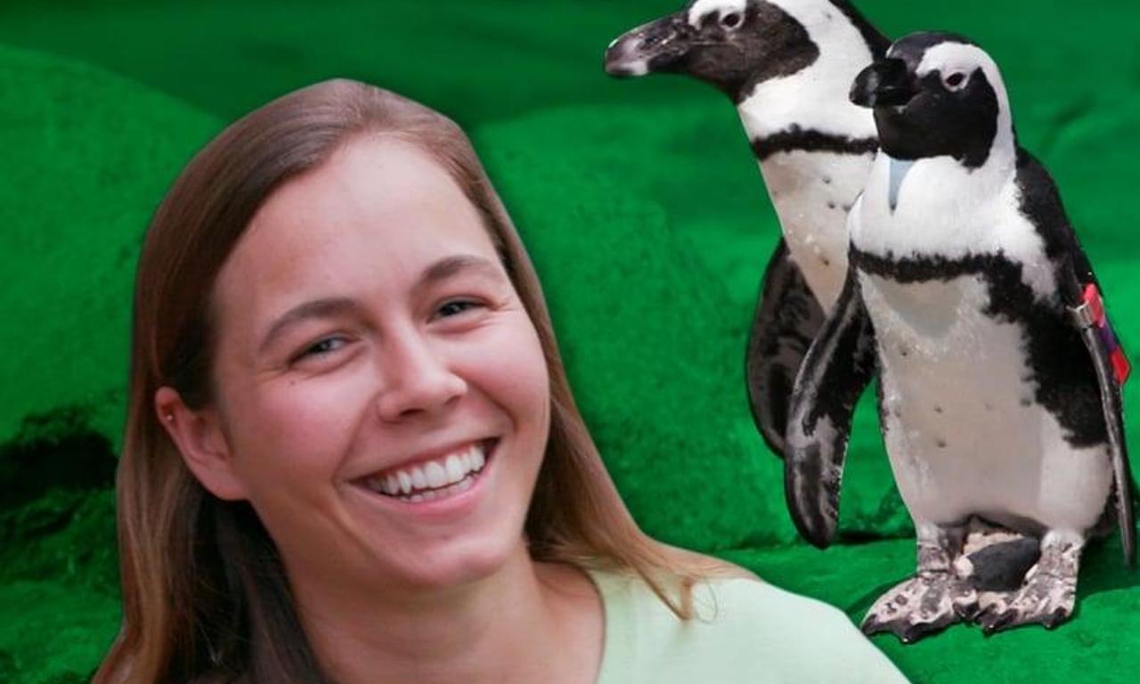 header image for Sam's Zookeeper Challenge