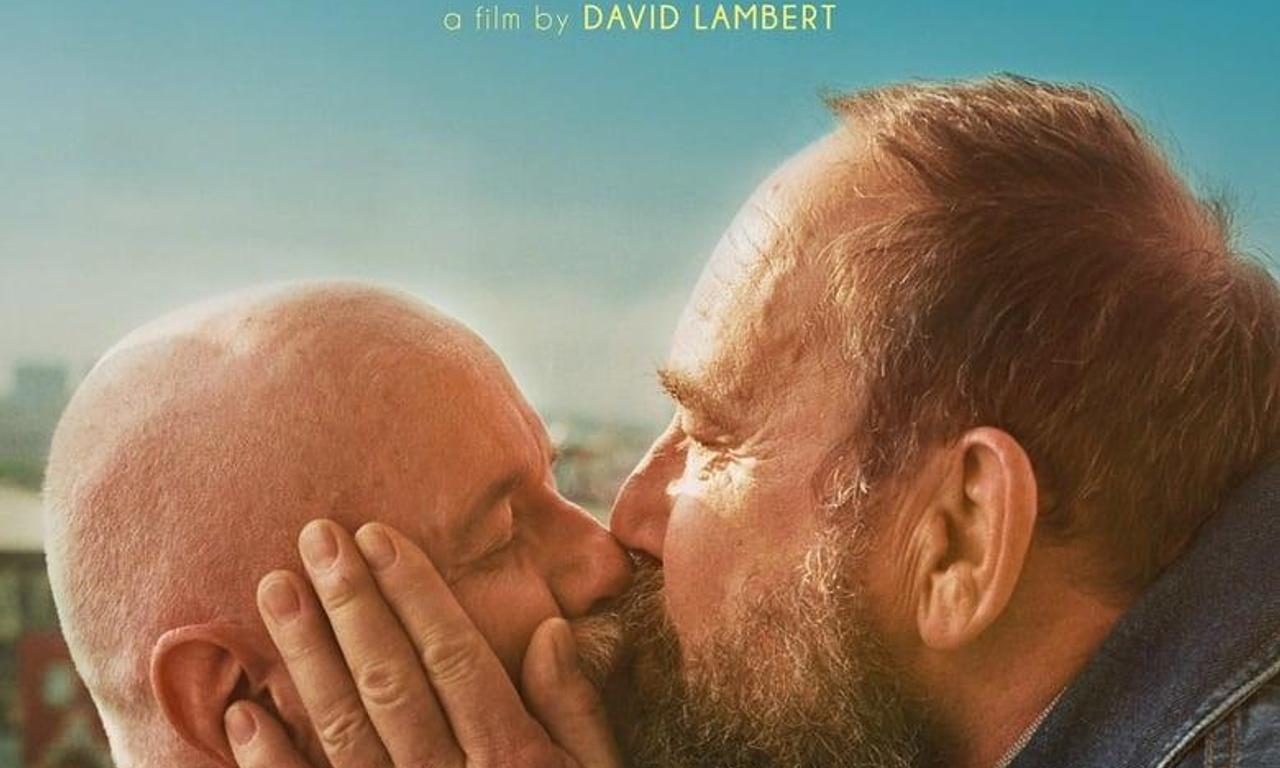 header image for Turtles