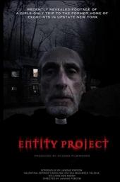Entity Project
